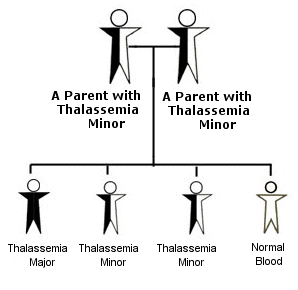 Thalassemia major and minor