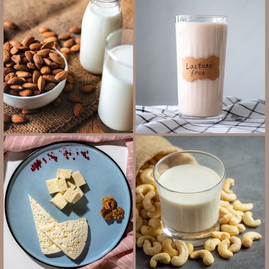 Dairy products for uric acid management