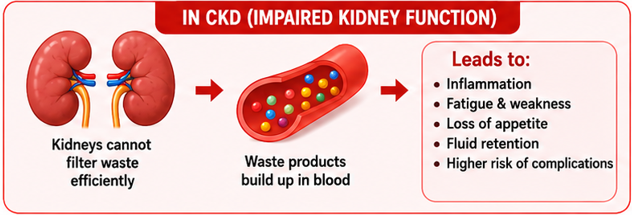 What Happens in CKD?